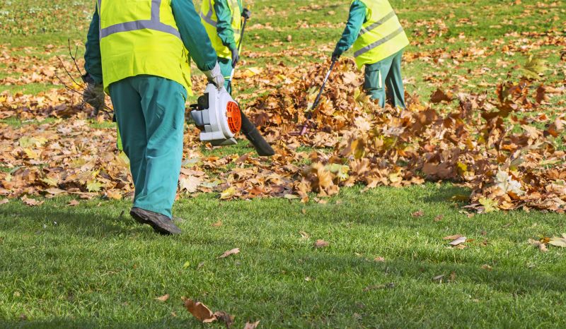 Leaf Blowing Technique