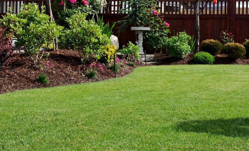Home Lawn Maintenance