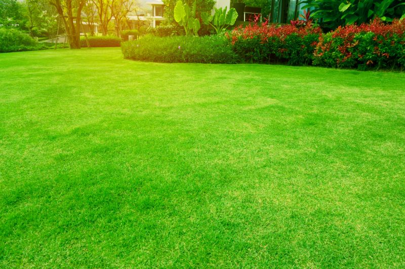 Spring Lawn Maintenance