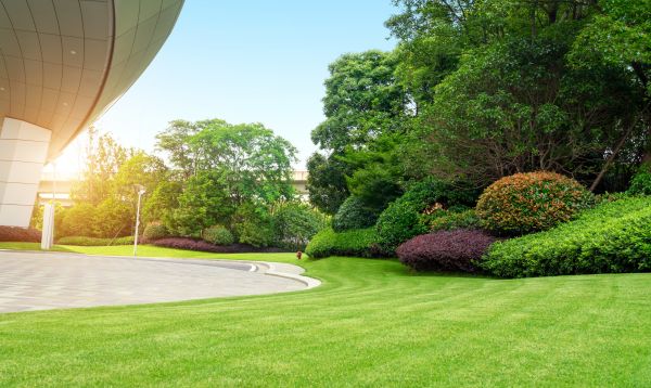 Cost of Commercial Lawn Mowing in Denver