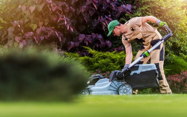 Cost of Lawn Care And Maintenance in Denver