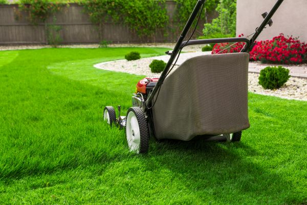 Cost of Lawn Mowing in Denver