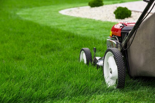 Cost of Mowing Service in Denver