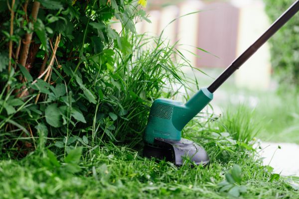 Cost of Weed Whacking in Denver