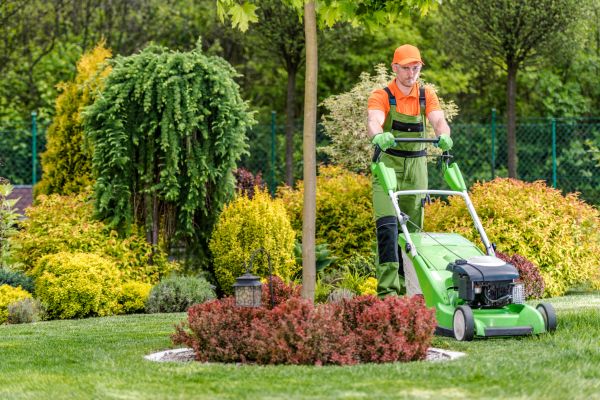 Cost of Yard Service in Denver