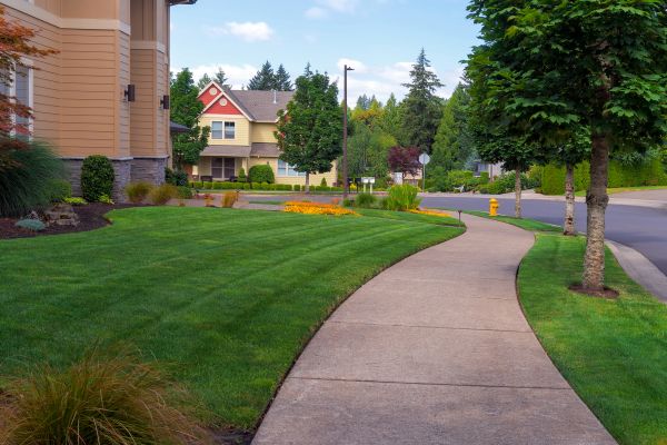 Cost of Home Lawn Maintenance in Denver