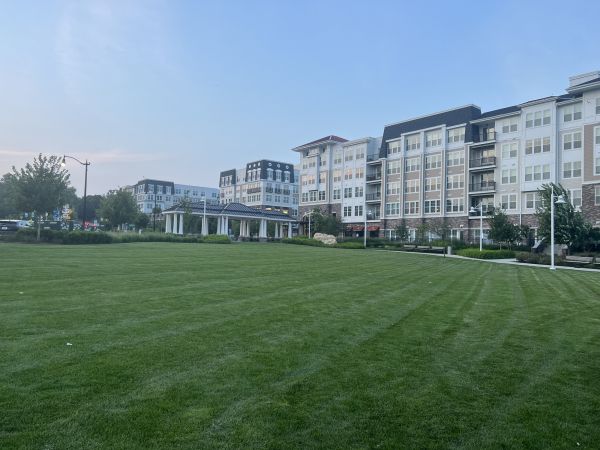 Cost of Urban Lawn Care in Denver