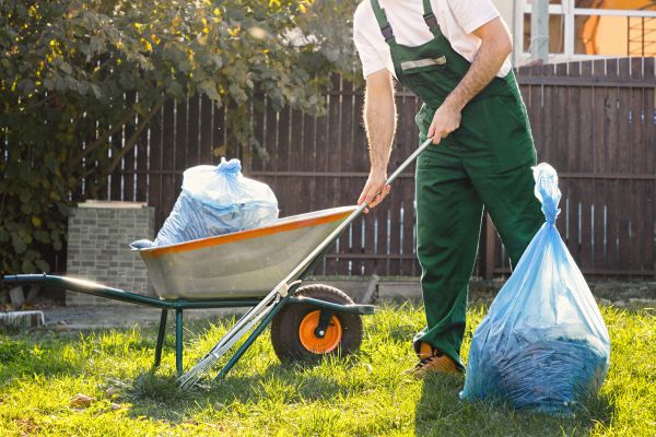 Cost of Yard Cleaning in Denver