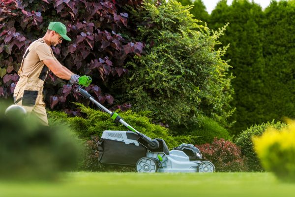 Cost of Lawn Management in Denver