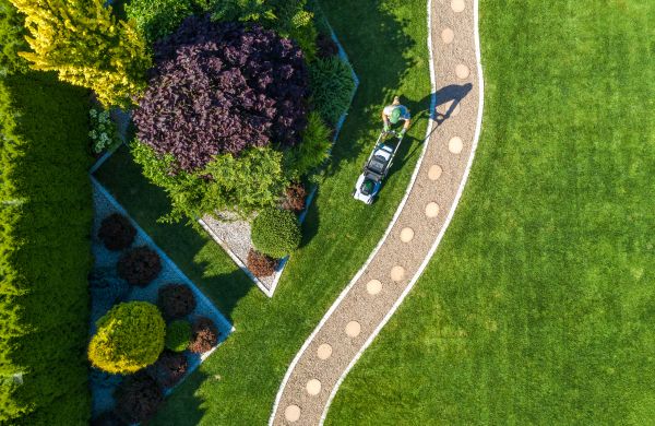 Cost of Mowing And Landscaping in Denver
