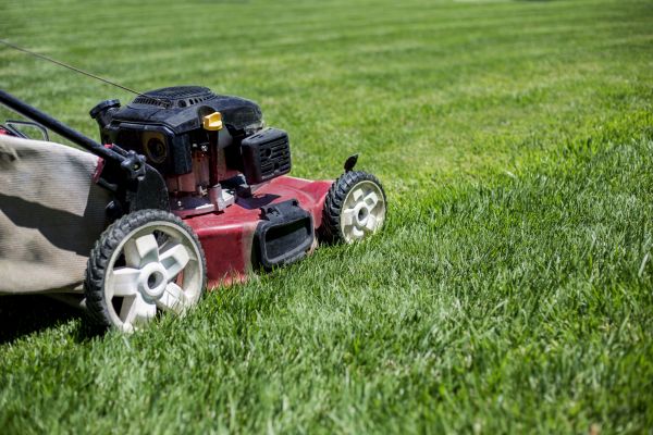 Cost of Routine Lawn Care in Denver