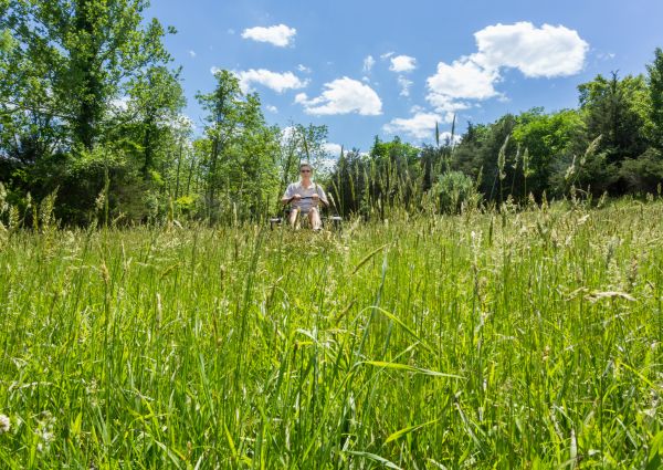 Cost of Long Grass Mowing in Denver