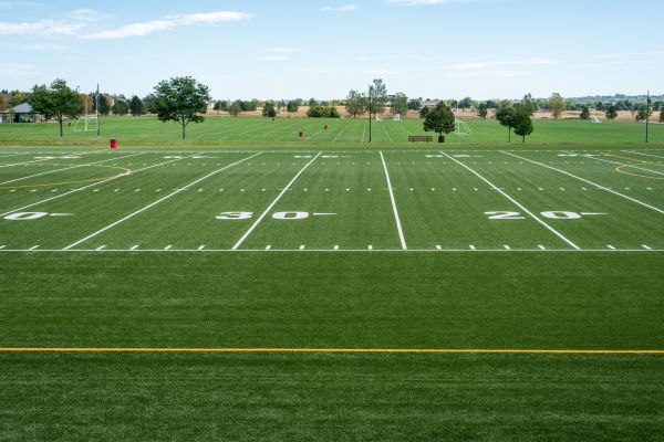 Cost of Groundskeeping Service in Denver