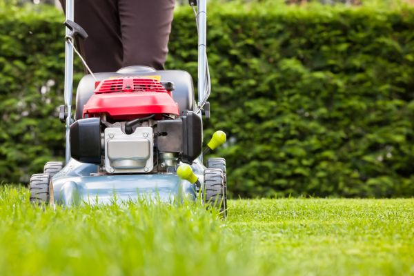 Cost of Grass Trimming Service in Denver