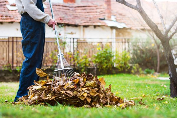 Cost of Routine Lawn Maintenance in Denver