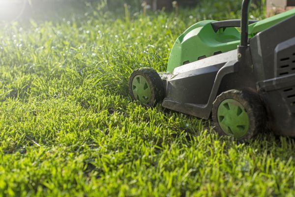 Cost of Lot Mowing in Denver