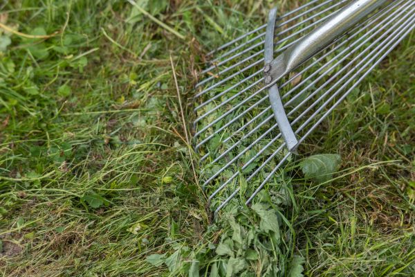 Cost of Thatch Raking in Denver