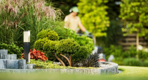 Cost of Residential Yard Maintenance in Denver