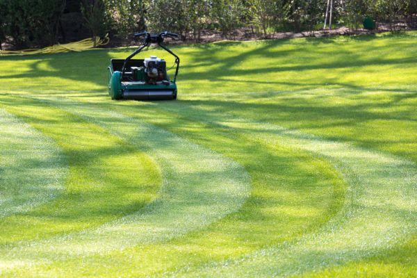 Cost of Business Lawn Mowing in Denver