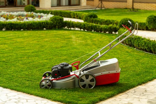 Cost of Business Grass Cutting in Denver