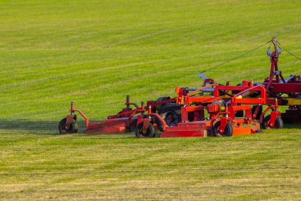Cost of Industrial Lawn Service in Denver