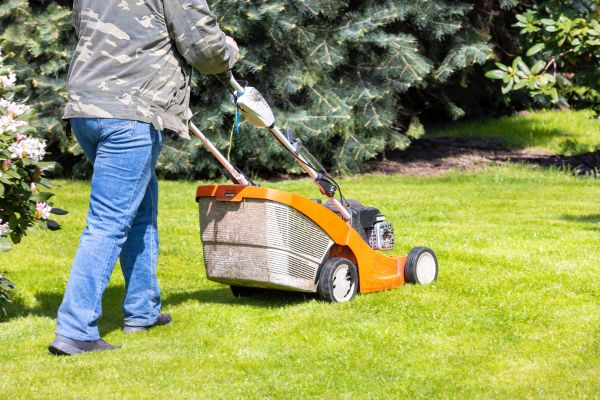 Cost of Springtime Lawn Care in Denver