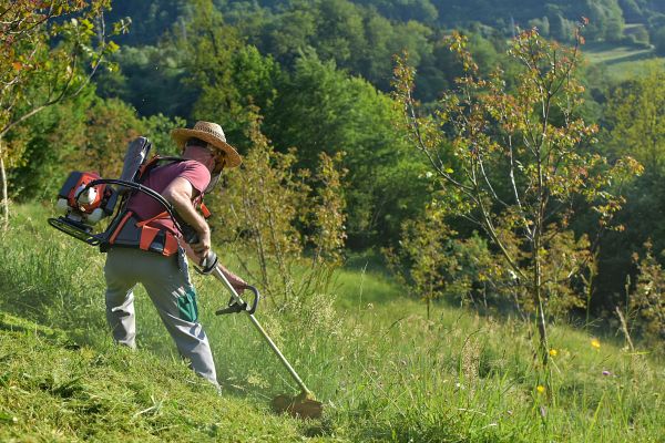 Cost of Slope Mowing in Denver
