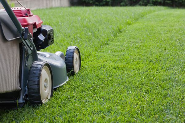Cost of Spring Lawn Maintenance in Denver