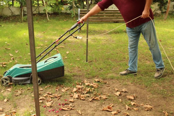 Cost of Leaves Mowing in Denver