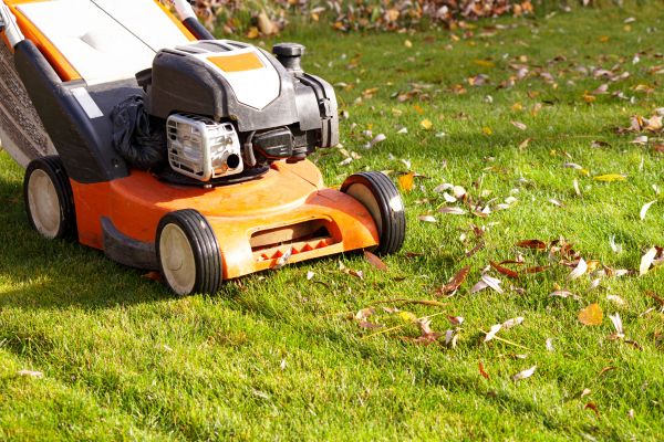 Cost of Fall Mowing in Denver