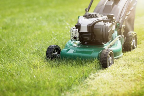 Cost of Spring Grass Trimming in Denver