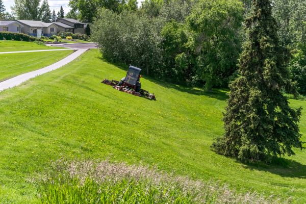 Cost of Sloped Area Mowing in Denver