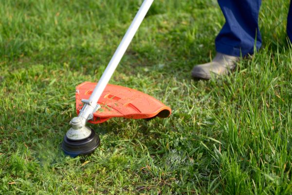 Cost of Lawn Weed Whacking in Denver