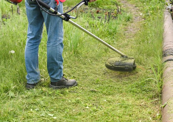 Cost of Tall Grass Trimming in Denver