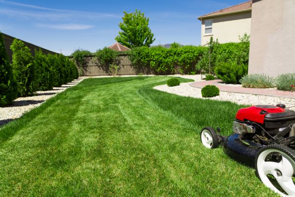 Cost of Residential Lawn Mowing in Denver